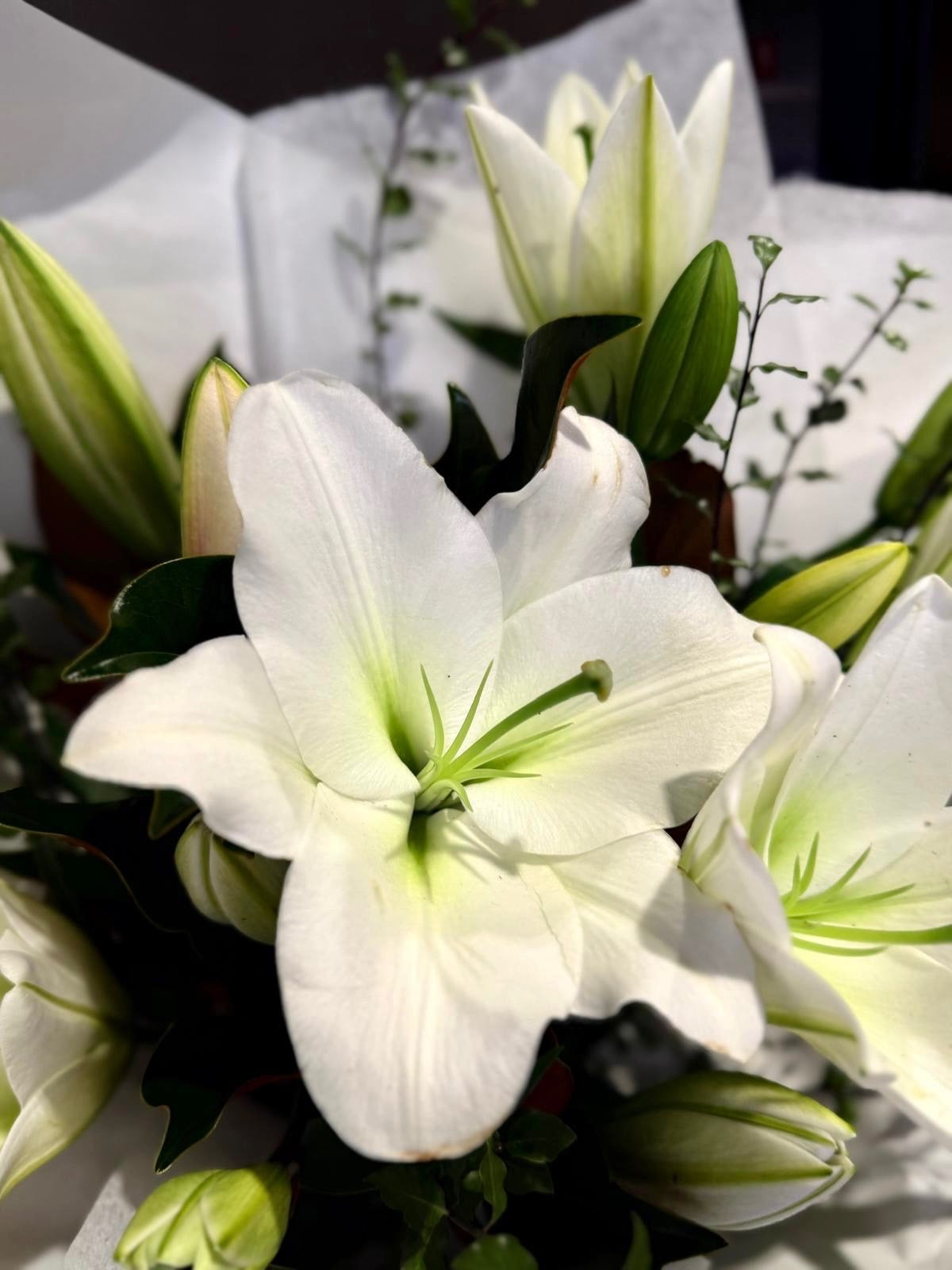 O’ lily Bought