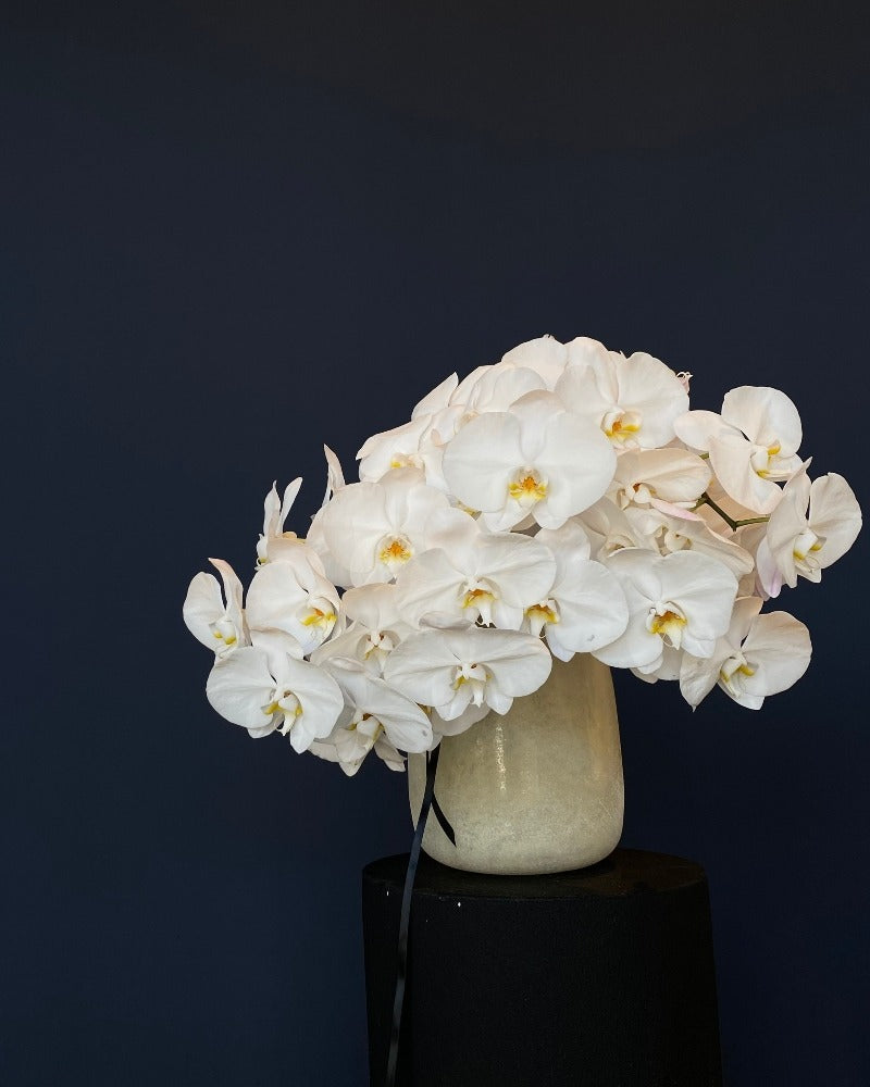 Orchids en Masse